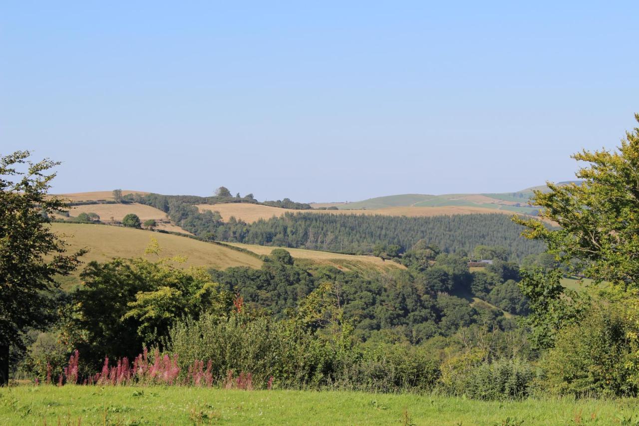 Treberfedd Farm And Lampeter