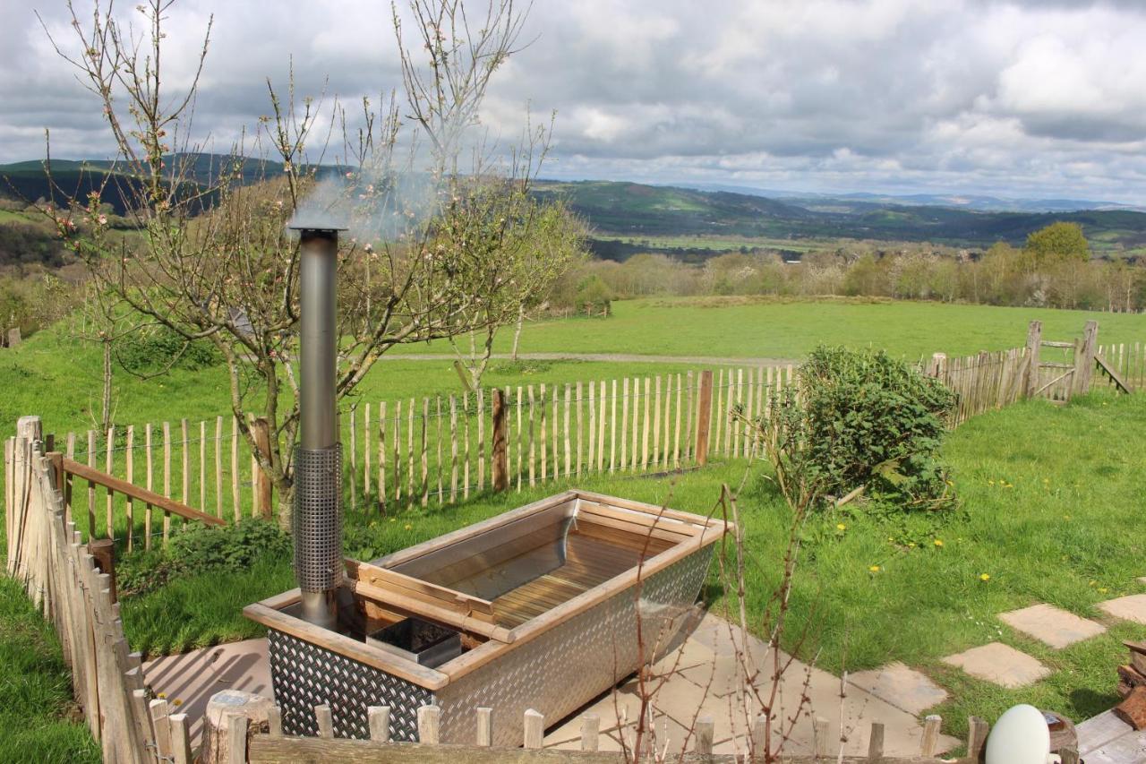 Treberfedd Farm And * Lampeter
