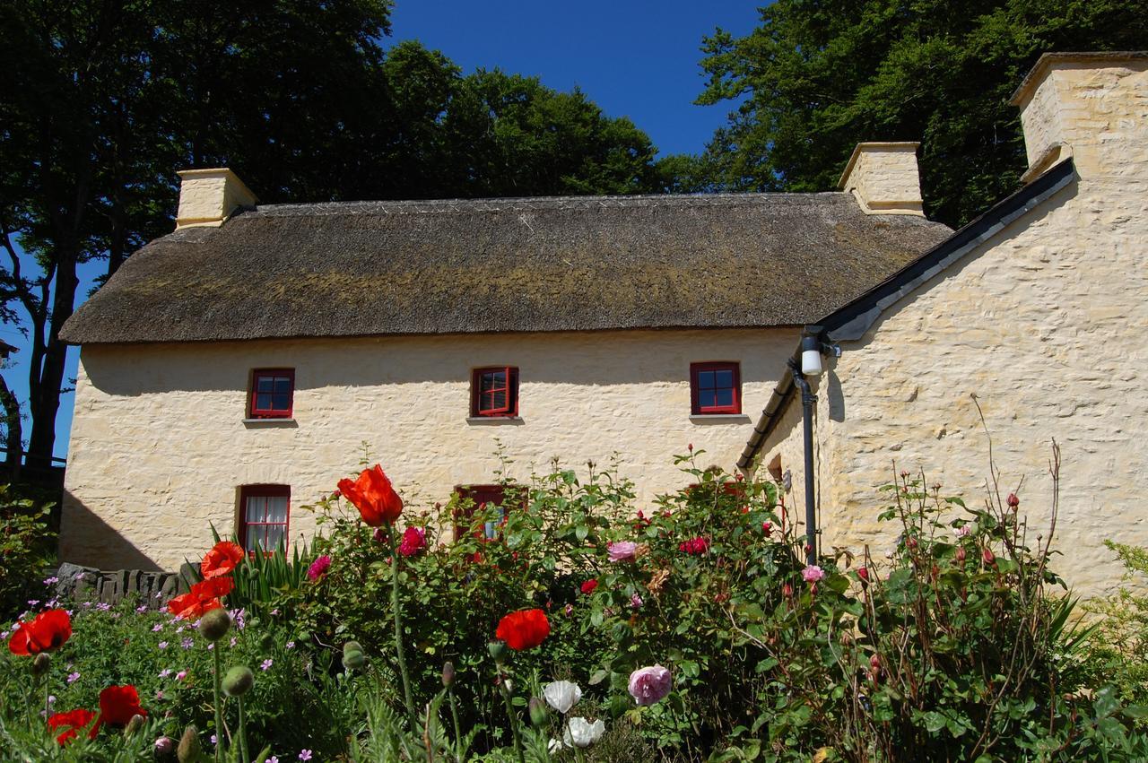 Treberfedd Farm And Holiday home Lampeter